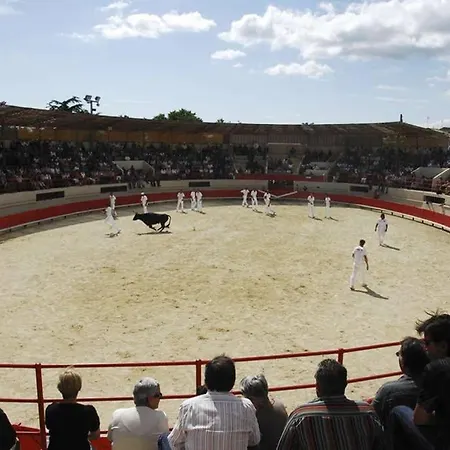 Maisonette L'olivier *