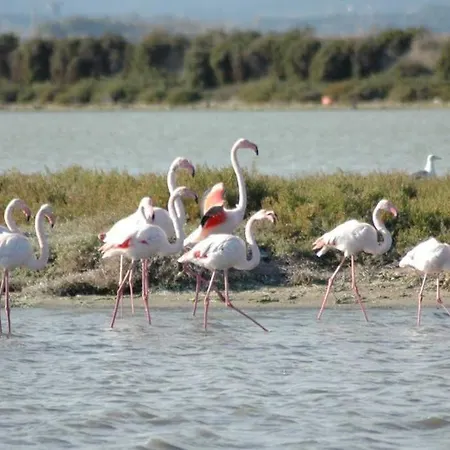 Maisonette L'olivier Appartamento Pérols