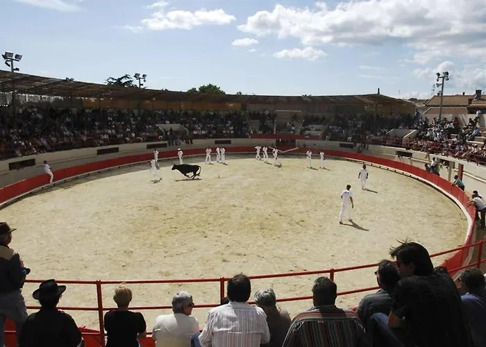 Maisonette L'olivier *