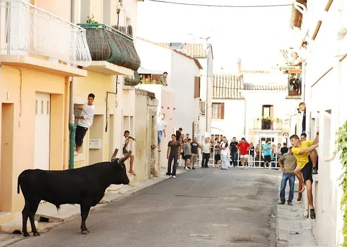 Daire Maisonette L'olivier